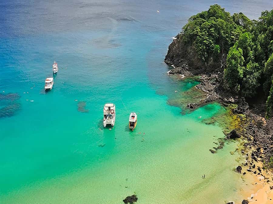 7-Hour Island Adventure: Fernando de Noronha Ilhatour - Key takeaways before you go