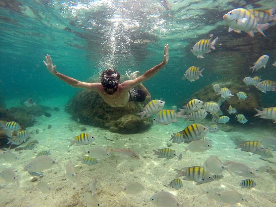 Angra dos Reis and Ilha Grande: Small-Group Fast-Boat Tour - Cataguases and Botinas Islands: snorkeling-friendly island scenery