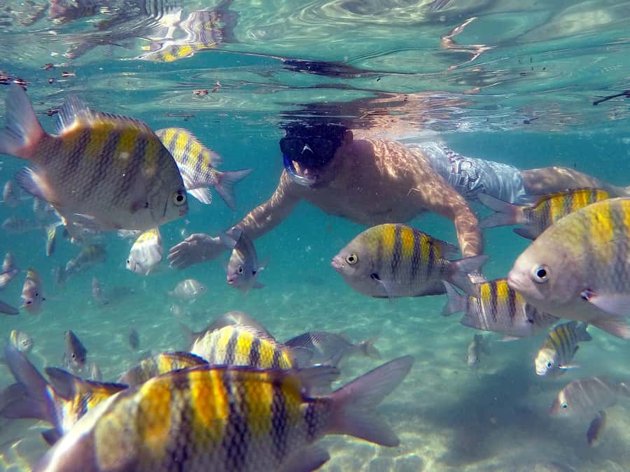 Angra dos Reis and Ilha Grande: Small-Group Fast-Boat Tour - Green Lagoon and Japariz beach: choose your pace