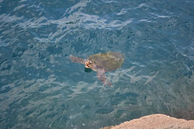 Arraial do Cabo Tour from Rio de Janeiro - Key things I’d mark on your mental map