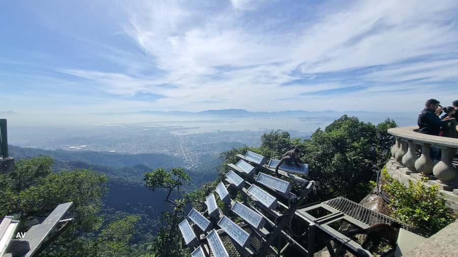 AVenturismo Christ Redeemer - Tijuca National Park: the hike that mixes wildlife spotting with real city perspective