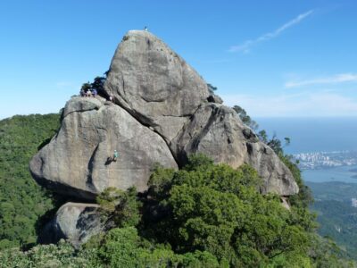 Bico do Papagaio Guided Hiking Tour in the Tijuca Forest - Start in Alto da Boa Vista, then let the forest do the talking