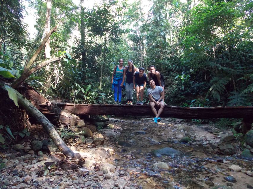 Bico do Papagaio Guided Hiking Tour in the Tijuca Forest - What you’ll learn at the visitor center (and why it helps on the trail)