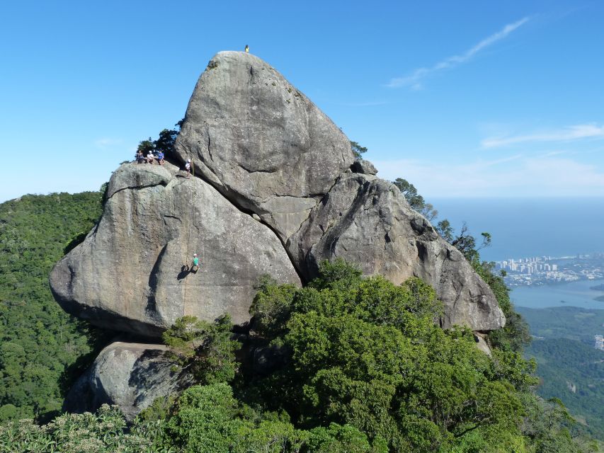 Bico do Papagaio Guided Hiking Tour in the Tijuca Forest - Start in Alto da Boa Vista, then let the forest do the talking