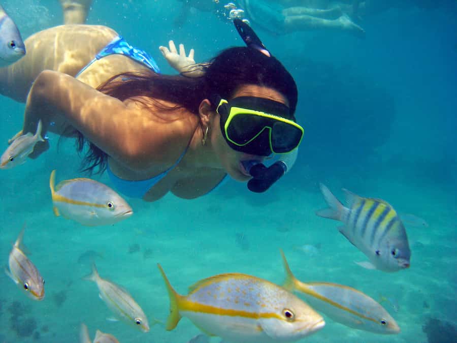 Búzios Day Trip from Rio de Janeiro - Key points before you go