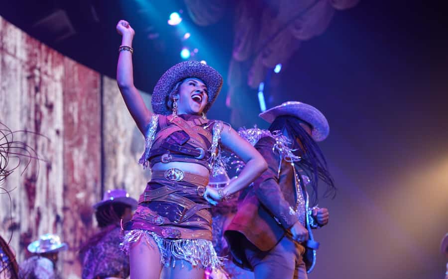 By Night Tour: Roxy Dinner Show & Transfer - Who this is best for (and who should rethink it)