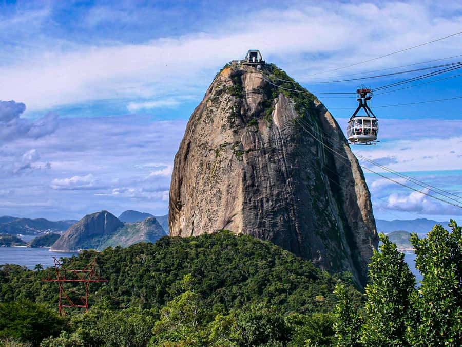 Christ the Redeemer and Escadaria Selarón Half-Day Tour - The sweet spot of this half-day Rio plan