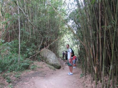 Discover Pedra do Telégrafo: Scenic Hike with Expert Guide - Timing, pickup, and where to meet your guide (6:00 am matters)