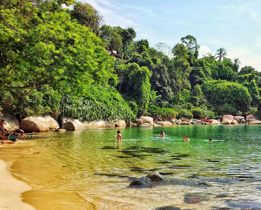 From Rio de Janeiro: Angra dos Reis Boat Trip with Lunch - Key highlights worth getting excited about