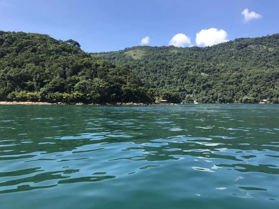 From Rio de Janeiro: Angra dos Reis & Ilha Grande Day Tour - Lagoa Verde and snorkeling: calm water, but manage expectations
