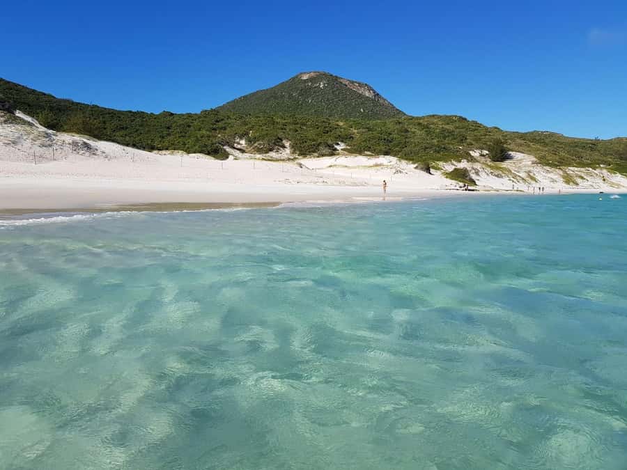 From Rio de Janeiro: Arraial do Cabo Island Day Trip - Praia do Forno: the first beach stop that helps you set expectations
