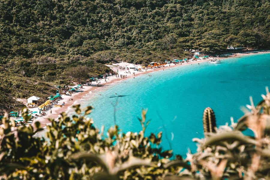 From Rio de Janeiro: Arraial do Cabo Island Day Trip - Boat time: how Arraial do Cabo shows off its marine life