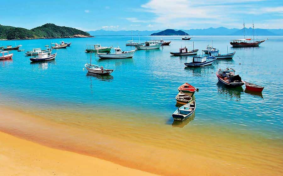 From Rio de Janeiro: Búzios Full-Day Boat Tour - Lunch in Paradise: All-You-Can-Eat Regional Food (and the Catch)