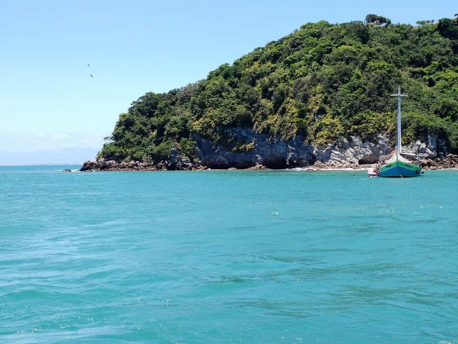 From Rio: Full Day in Búzios with Catamaran Tour and Lunch - Swim stops: perfect if you’re flexible, annoying if you hate crowds