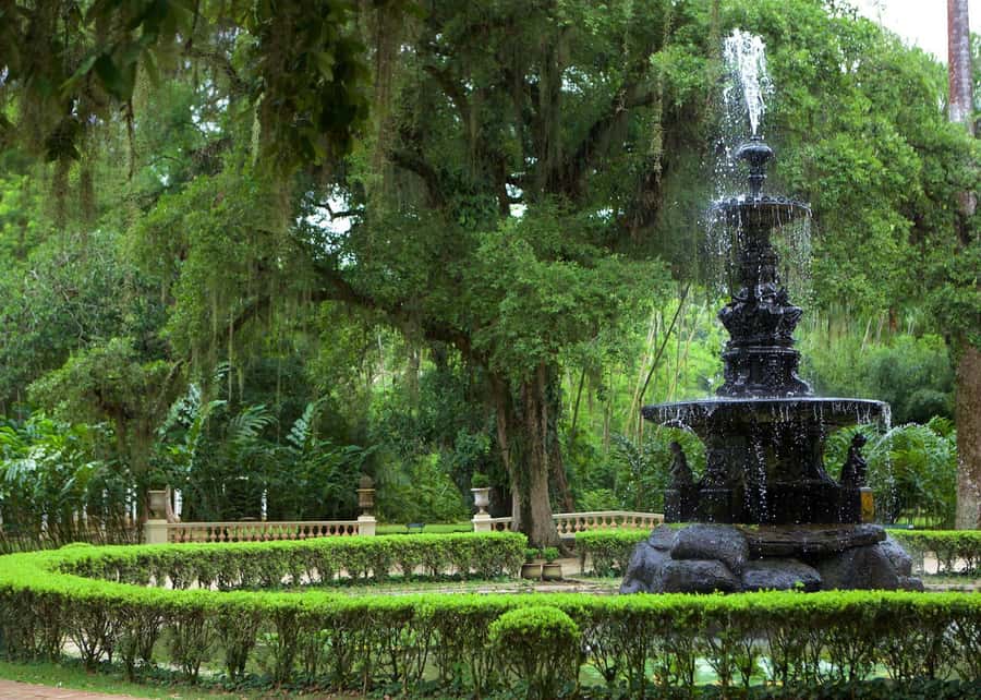 Green Rio: Guided Tour of Botanical Garden and Lage Park - Botanical Garden Under Corcovado: how the tour starts