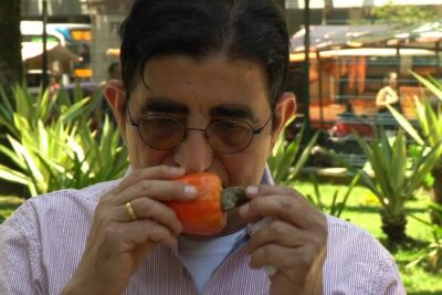 Guided Market Fruit Tasting in Rio with 15+ Exotic Flavors - The fruit lineup you should be excited about (and why)