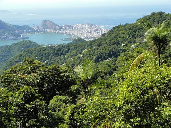 Jeep Adventure: Guided Tour through Tijuca Rain Forest - Key things to know before you go