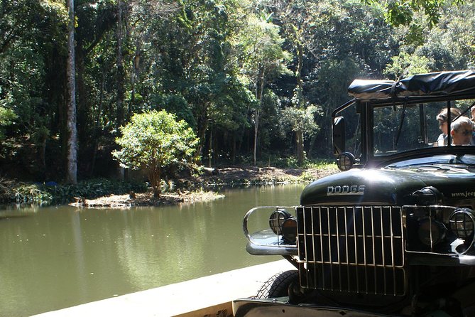 Jeep Adventure: Guided Tour through Tijuca Rain Forest - Jeep Meets Tijuca: what this 4-hour trip is really like