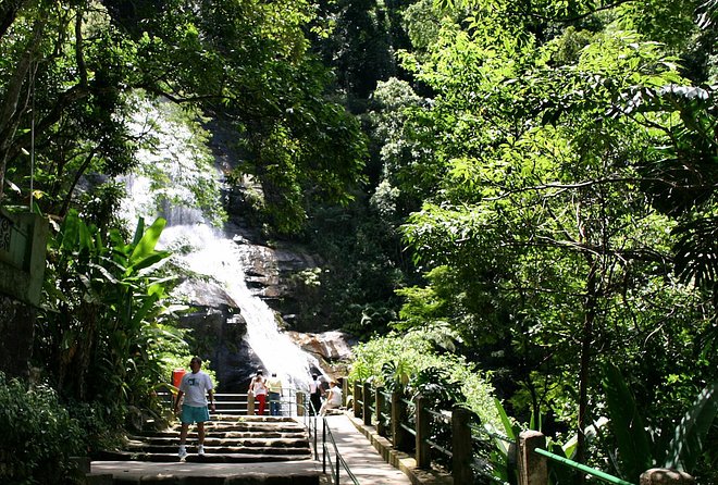 Jeep Adventure: Guided Tour through Tijuca Rain Forest - Driving into Tijuca: the lesson starts before the hike