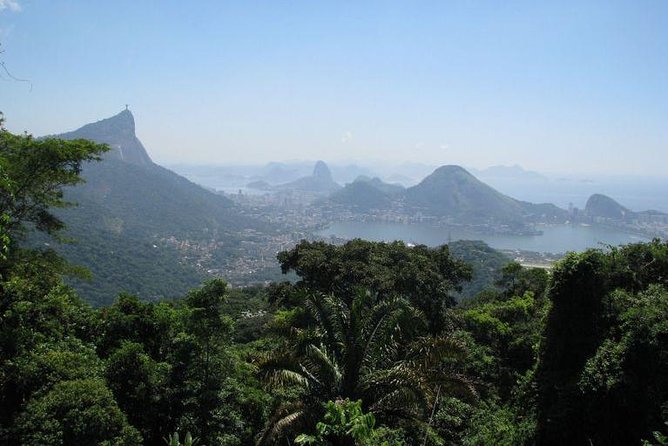 Jeep Adventure: Guided Tour through Tijuca Rain Forest - Emperor’s Table: a royal viewpoint with real elevation