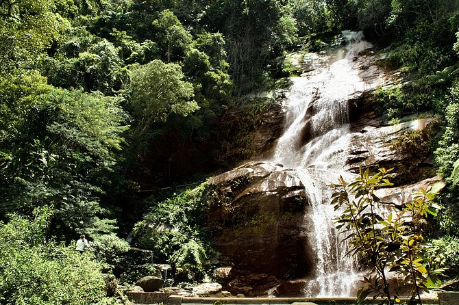 Jeep Adventure: Guided Tour through Tijuca Rain Forest - Pickup and the open-air Jeep: comfort versus speed