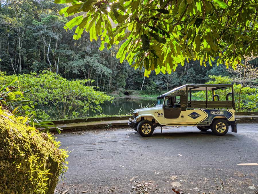 Jeep'n'Culture: Rocinha Favela and Tijuca Rainforest Tour - Key highlights worth your attention