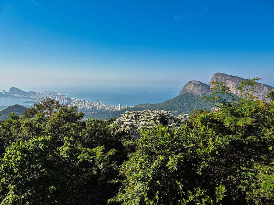 Jeep'n'Culture: Rocinha Favela and Tijuca Rainforest Tour - Cascatinha Taunay waterfall: a quick stop with real photo payoff