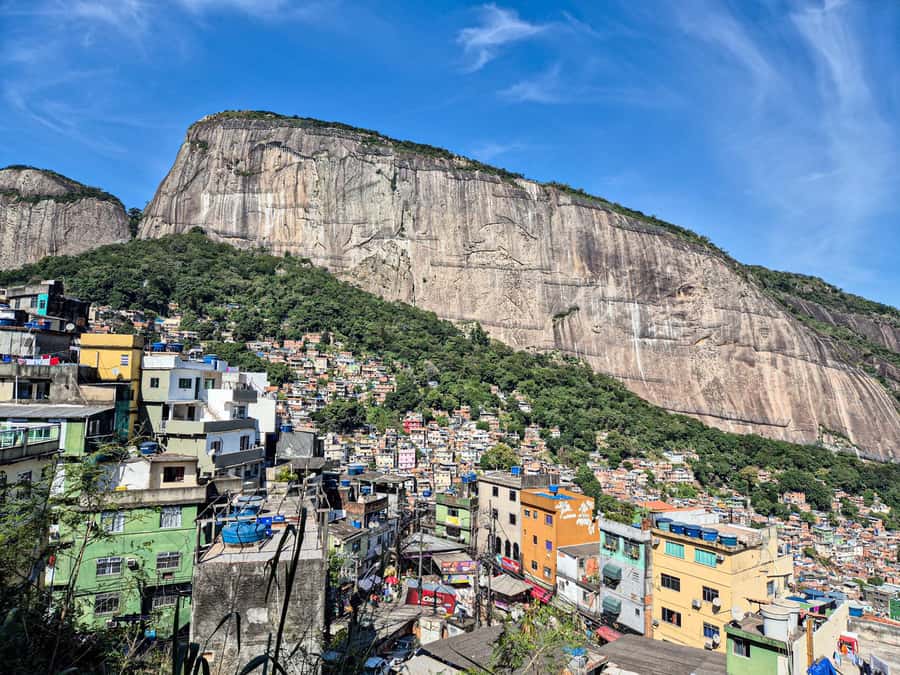 Jeep'n'Culture: Rocinha Favela and Tijuca Rainforest Tour - Wildlife spotting that’s actually guided (monkeys, birds, butterflies, and sloths)
