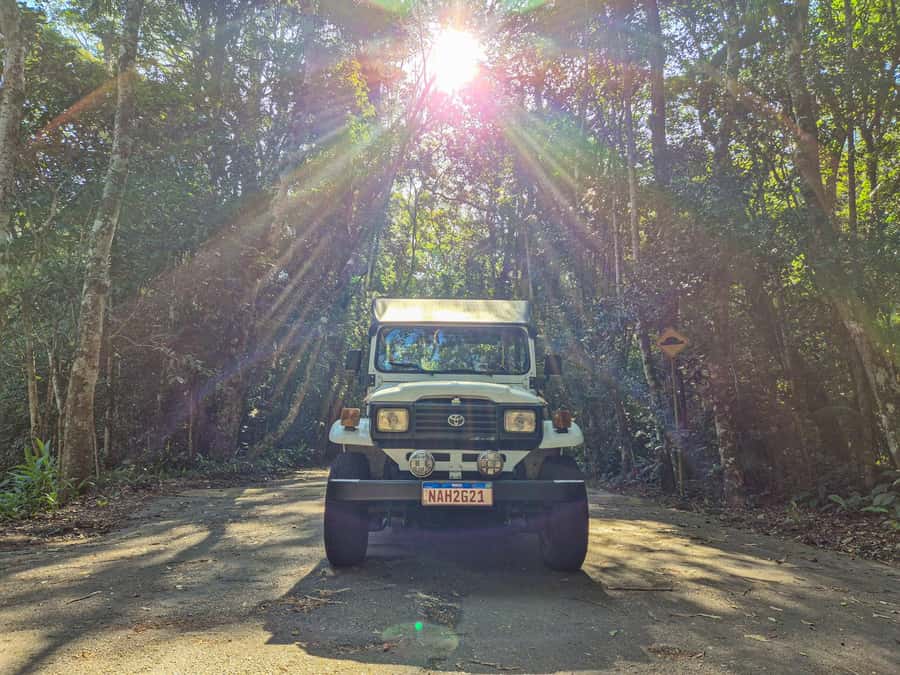Jeep'n'Culture: Rocinha Favela and Tijuca Rainforest Tour - Rocinha: history talk plus a walking perspective that adds context