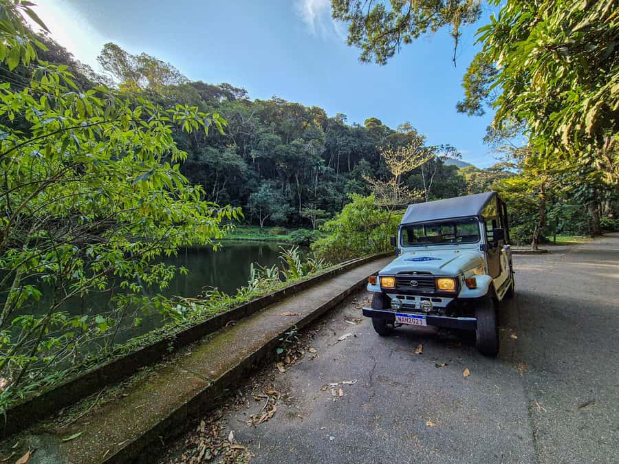 Jeep'n'Green: Rio Botanical Garden & Tijuca Rainforest Tour - Tijuca Atlantic Forest by Jeep: Fast Access to Real Rainforest Contrast