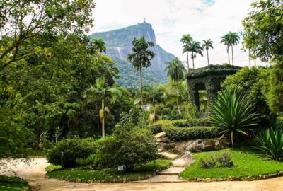 Jeep'n'Green: Rio Botanical Garden & Tijuca Rainforest Tour - Rio Botanical Garden: Where the Tour Sets the Plant-Spotting Tone