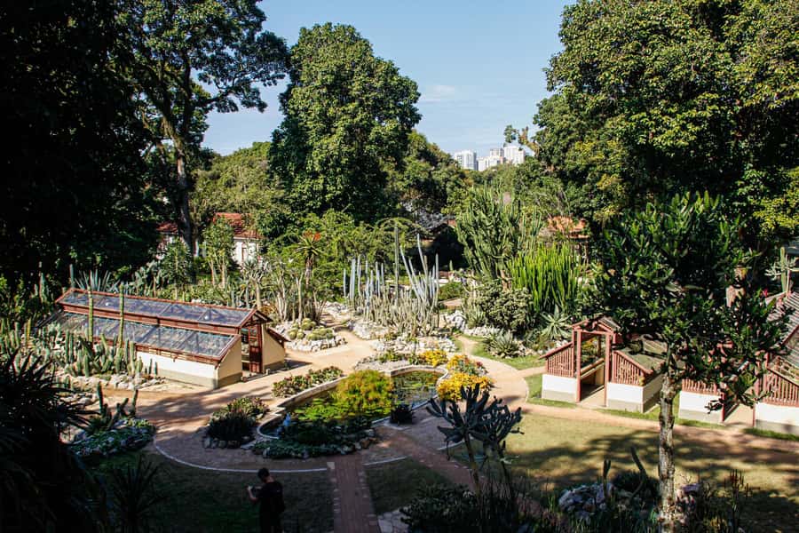 Jeep'n'Green: Rio Botanical Garden & Tijuca Rainforest Tour - Vista Chinesa: The Big Panoramic Payoff (Unless Your Day Skips It)