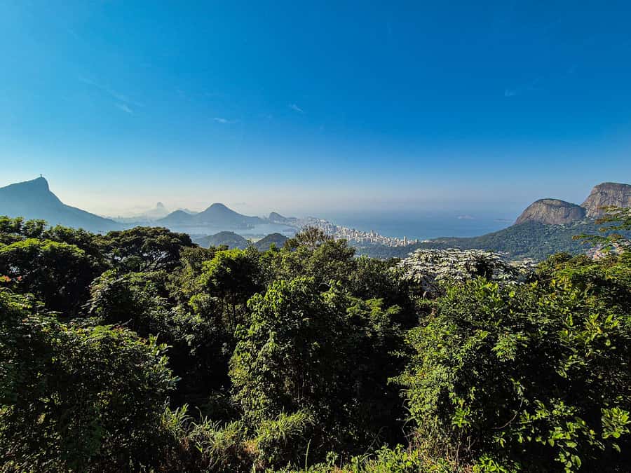 Jeep'n'Green: Rio Botanical Garden & Tijuca Rainforest Tour - The Eco-Trek to Cachoeira dos Macacos: Short Walk, Strong Nature Fix