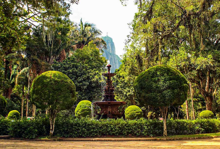 Jeep'n'Green: Rio Botanical Garden & Tijuca Rainforest Tour - Pepino Beach Hang Gliders: A Calm End to the Day