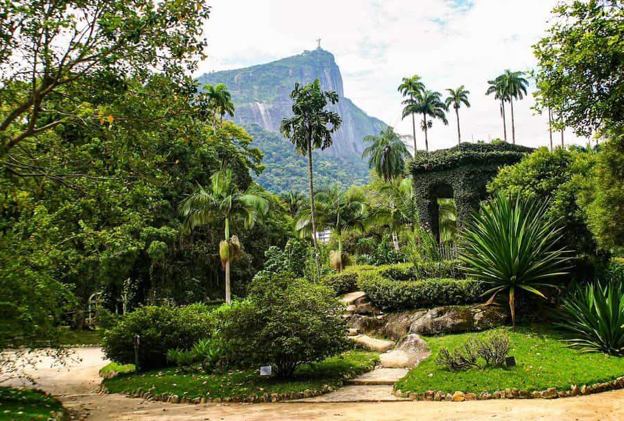 Jeep'n'Green: Rio Botanical Garden & Tijuca Rainforest Tour - Rio Botanical Garden: Where the Tour Sets the Plant-Spotting Tone