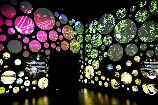 Museum of Tomorrow Guided Tour, Admission & Transfer - Inside the Museum: Interactive Future Scenarios You Can’t Stop Thinking About