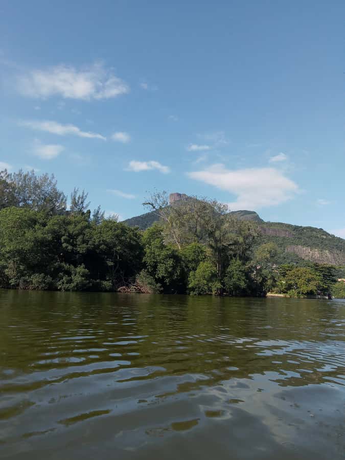 Pantanal of Rio de Janeiro - Why the Pantanal of Rio feels different from the usual city tour