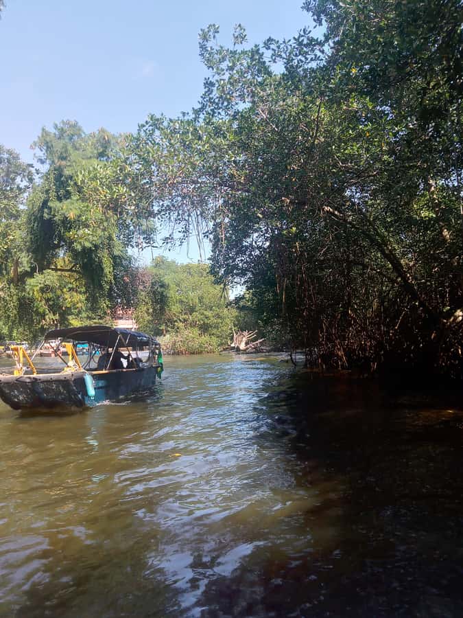 Pantanal of Rio de Janeiro - Meeting point and the boat-fee reality check (Jardim Oceânico)