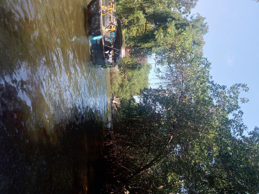 Pantanal of Rio de Janeiro - Watching caimans and capybaras without the zoo vibe