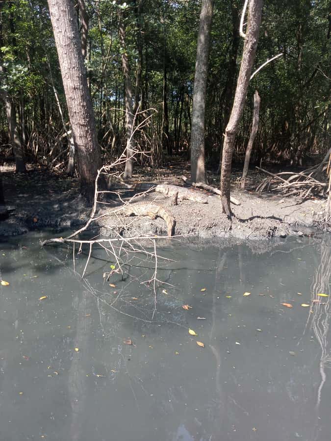 Pantanal of Rio de Janeiro - Price and value: how $32 really plays out