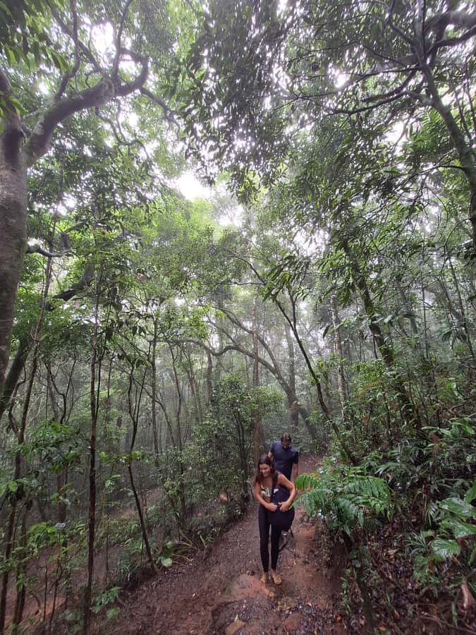 Pedra Bonita Trail: The easiest trail with a beautiful view of Rio - The viewpoint: what you’ll see from west to south Rio