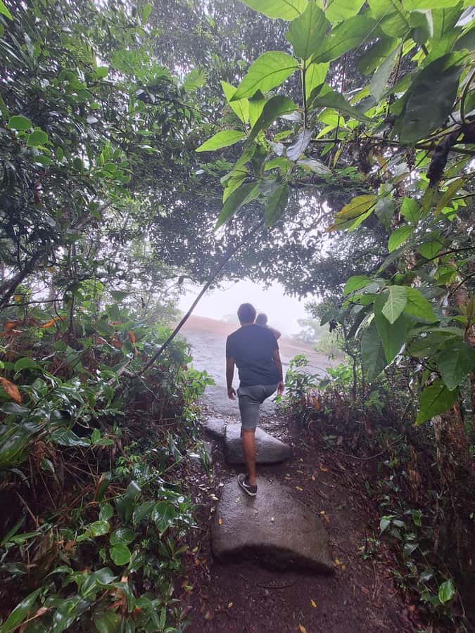 Pedra Bonita Trail: The easiest trail with a beautiful view of Rio - What to bring for a smoother Pedra Bonita day