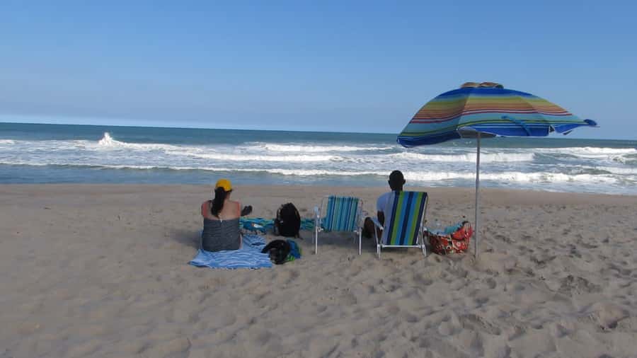 Pedra do Telégrafo Hike and Beach Full-Day Tour - How the guides make the difference
