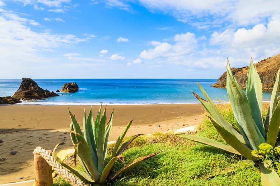 Pedra do Telégrafo Hike and Beach Full-Day Tour - Who this hike suits best (and who should rethink it)