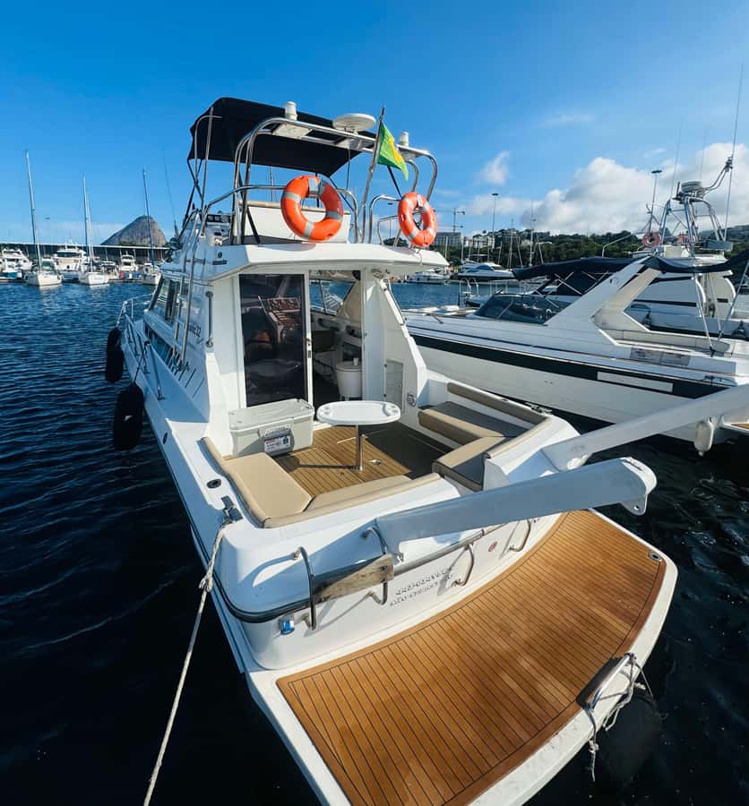 Private speedboat tour in Rio de Janeiro - Key highlights worth your attention