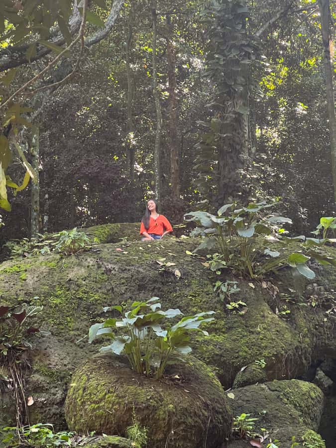 Private Tijuca Forest & Botanical Garden Guided Tour - How this 5-hour mix feels efficient (and not rushed)