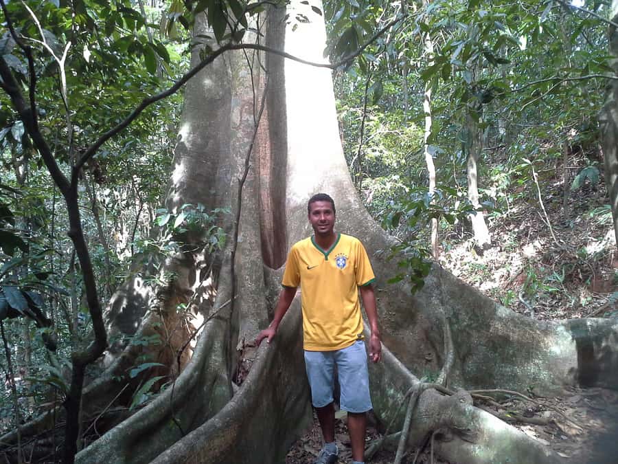 Private Tijuca Forest & Botanical Garden Guided Tour - Tijuca National Park trails: the point is the bird-and-forest education