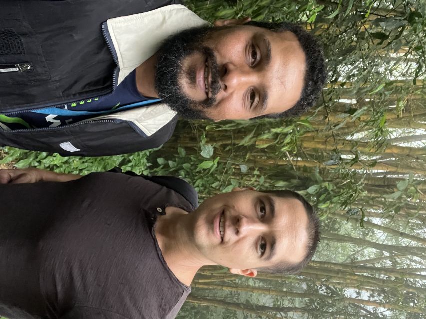 Private Tijuca Forest & Botanical Garden Guided Tour - Cascatinha Taunay: the waterfall moment without the big hike