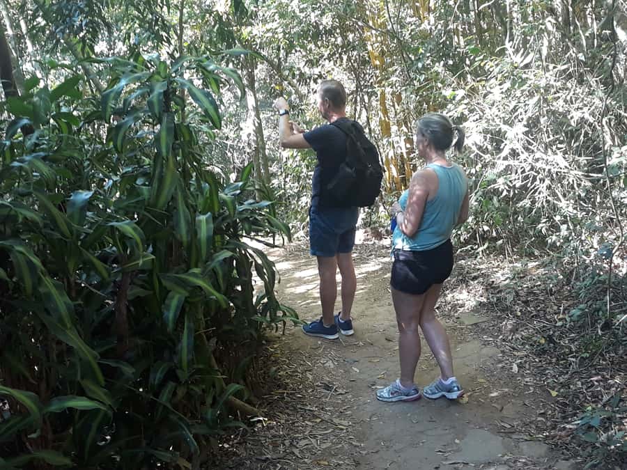 Private Tijuca Forest & Botanical Garden Guided Tour - Rio Botanical Garden: from sensory garden to orchid and bromeliad details