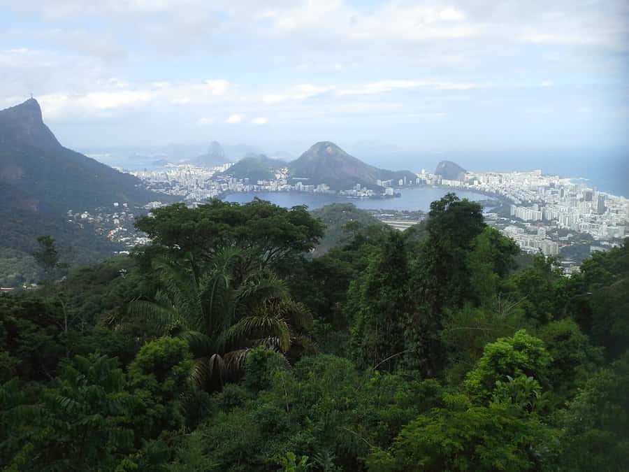 Private Tijuca Forest & Botanical Garden Guided Tour - Price and value: what $80 buys (and what you still pay)
